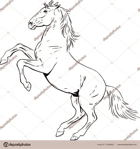 Kleurplaten van paarden uniek paarden tekeningen makkelijk archidev by kleurplaat.site. Steigerend paard in contouren — Stockvector © ArsAnimalium ...