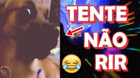 A meme (/miːm/ meem) is an idea, behavior, or style that spreads by means of imitation from person to person within a culture and often carries symbolic meaning representing a particular phenomenon or. TA TÃO ENGRAÇADO HOJE | MELHORES MEMES DO YOUTUBE | ZAP DA ...