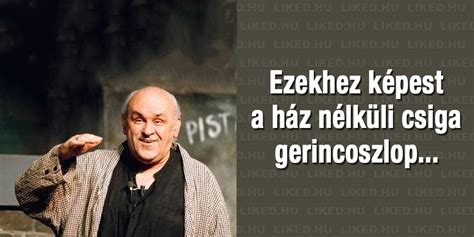 Egy másik kerületben már a falnak háttal. Ők voltak a régi tévés szilveszterek legnagyobb sztárjai ...