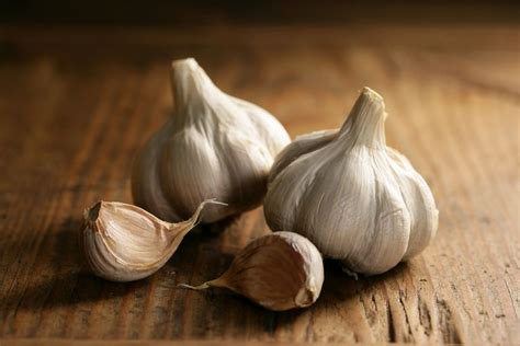 All you need to know. Can You Eat Garlic If You Are Breastfeeding?