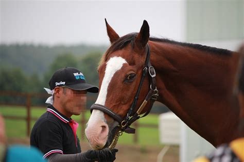 Maybe you would like to learn more about one of these? 2019年9月13日｜ドトウ&シャトルだより｜引退馬協会