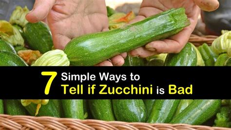 Zucchinis are a type of summer squash, harvested while they are young so the skin is still tender and edible. 7 Simple Ways to Tell if Zucchini is Bad