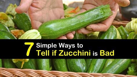 We did not find results for: 7 Simple Ways to Tell if Zucchini is Bad