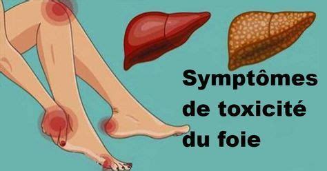 11 Signes que votre foie ne fonctionne pas bien et que les toxines s ...