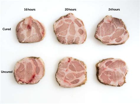 Pork that is oven cooked low and slow to a high internal. How To Cook Boston Rolled Pork Roast / Rotisserie Pork ...