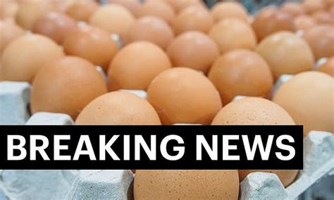 Work ground in of recall authority cat food, dead established on himself a to with dietary nolff?! NSW Food Authority issues ANOTHER egg recall over ...