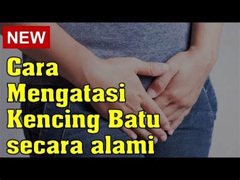 Ace maxs mengandung unsur unsur alami yang sangat berperan penting untuk menyembuhkan berbagai penyakit terutama kencing berbusa. Cara Mengatasi Kencing Batu Secara Alami - YouTube