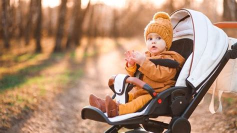 Frische luft atmen und die natur genießen ist gut für eltern und kind. Ab Wann Buggy Und Ab Wann Ist Der Wechsel Zu Buggys Sinnvoll?