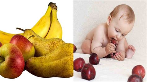 Panduan menyajikan buah untuk bayi 6 bulan. Jenis Buah untuk Bayi 6 Bulan yang Cocok dengan Sistem ...