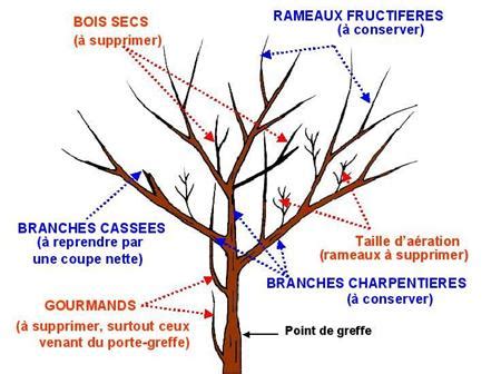 We did not find results for: quand tailler un cerisier - France News Collections