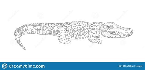 Download & print ➤crocodiles coloring sheets for your child to nurture his/her coloring creative skills. Vector Coloring For Children And Adults With A Crocodile ...