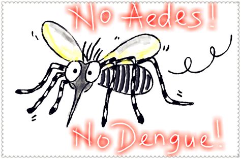 Dengue is spread by infected mosquitoes, usually the aedes aegypti and aedes albopictus varieties. Peary Land: No Aedes, No Dengue.