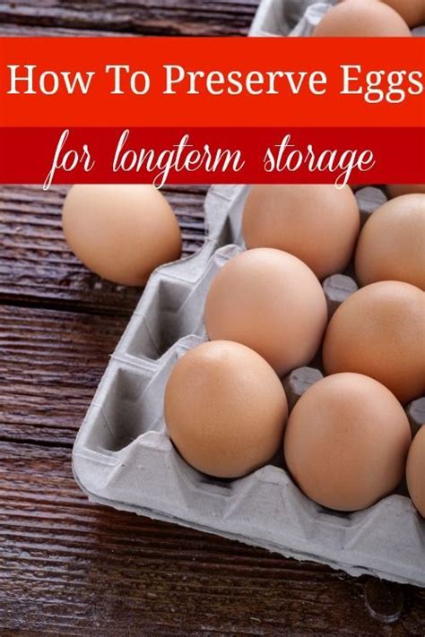 Water it is best to use water which is free of chlorine, fluoride, and high in minerals. How to Preserve Eggs for Long Term Storage | Food, Food ...