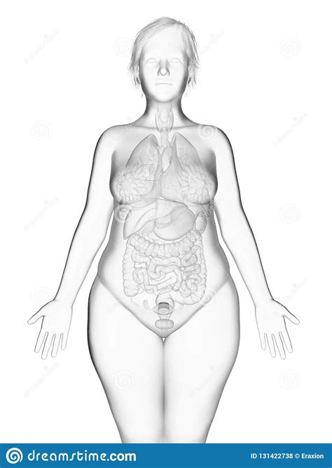 A laparoscope, a slender scope with a light on the end, is inserted into the woman's abdomen through a small incision near her belly button. An Obese Womans Internal Organs Stock Illustration ...