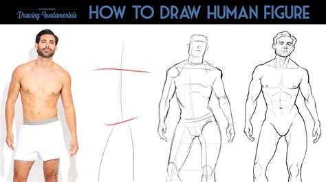 A basic fear all parents have but which here is grown out of proportion. How to draw the Human Figure (Part 2) - YouTube