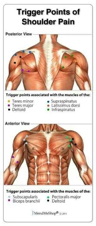 Shoulder pain is common as you get older and may be caused by any one of a number of conditions. Trigger Points of Shoulder Pain | Massage Therapy & Bodywork | Pinter…