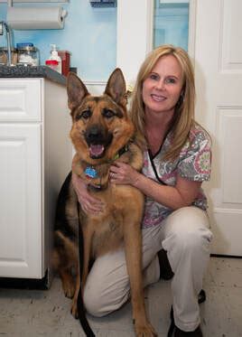 Maybe you would like to learn more about one of these? Meet Team SMVC - SOUTHERN MAINE VET CARE