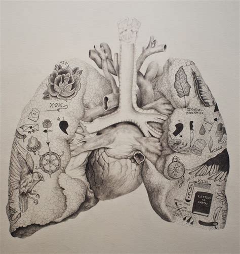 Vintage inspired anatomical drawings with a twist by Andy van Dinh (With images) | Drawings ...
