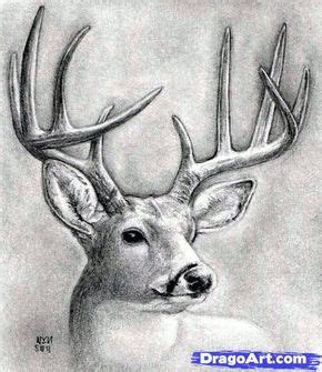 I am sharing the most effective way to draw a deer which looks realistic as well. Pin on Dibujo Venado