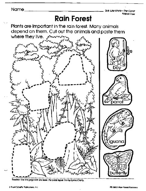 A coloring page set and a colored animal set include a jaguar, a poison dart frog, a sloth, a snake, a tapir, and a toucan. rainforest activities for preschoolers | Rain Forest | Rainforest activities, Rainforest ...