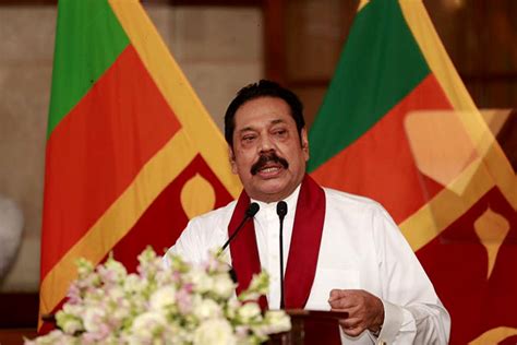 Sri lanka's prime minister has said mangroves' ability to swiftly absorb carbon make the forests vital in the fight against climate change. Support me like during the war - Mahinda Rajapaksa ...