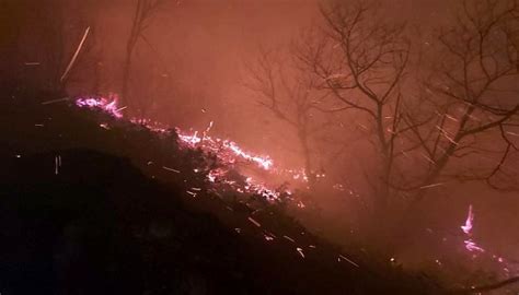 Пожежа в туреччині охопила курорт в мармарисі / instagram. На півночі Туреччині - лісові пожежі, а на півдні - повені ...