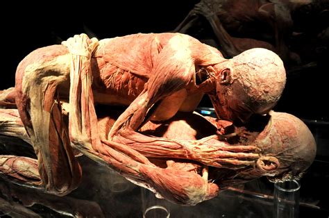 Your destination for trusted health and wellness advice, reflecting the untold experiences of people like you. La Mostra Body Worlds ispira un costume originale per ...