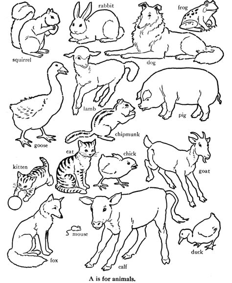 Download gambar hidupan laut untuk mewarna yang terbaik. Animal - Gambar Mewarna