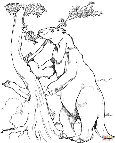 Coloring page happy little baby sloth. Prehistoric Giant Ground Sloth coloring page | Free Printable Coloring Pages