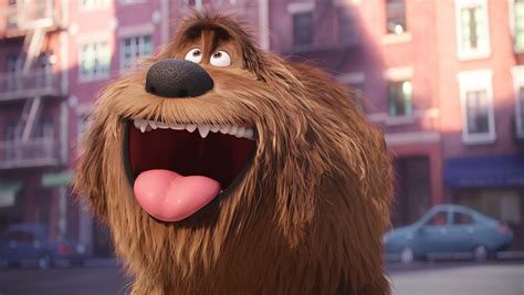 'Secret Life of Pets' Sequel Confirmed—And It's Coming Soon