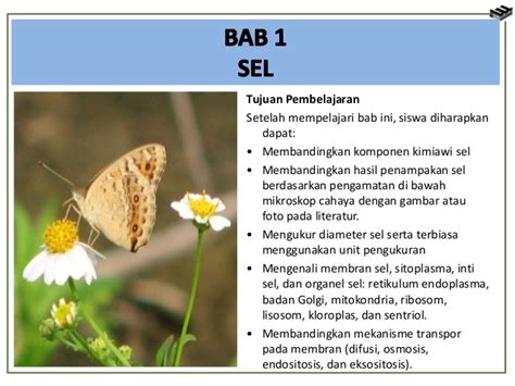 Selain itu ada banyak perbedaan lain antara sel tumbuhan dengan sel hewan. Perbedaan Antara Sel Tumbuhan Dan Sel Hewan - Terkait ...