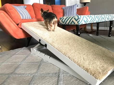 And since it's been raining for 40 days and 40 nights—or more like 400—here in tennessee. How to Make an Adjustable Dog Ramp | Dog ramp, Diy dog ...
