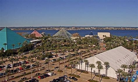4.8 out of 5 stars 182. Score A Family Four Pack Of Passes To Moody Gardens