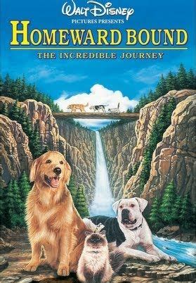 I'm laughing, recalling moments from my childhood, lost in a sea of nostalgia. Homeward Bound: The Incredible Journey - YouTube
