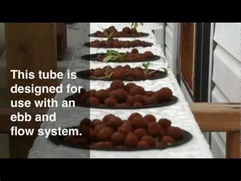 Let's add a nice middle ground to the mix. Hydroponic DIY Ebb And Flow Grow Tube - YouTube