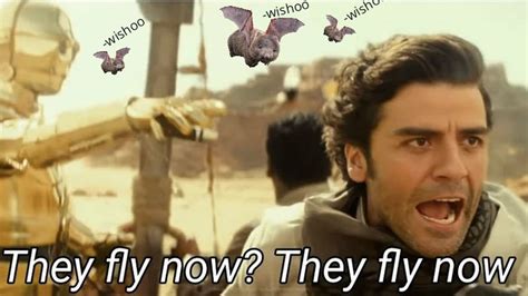 Now everyone can fly : They fly now! : Wishoo
