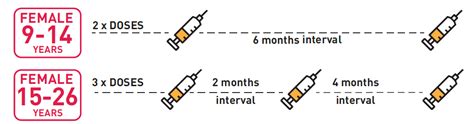 With the help of our mates at pacific prime, here is all you need to know to get you up to. Noul ghid mondial privind vaccinarea anti-HPV - Revista ...