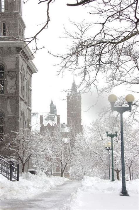 Mayor ben walsh called the incident vile and appalling and confirmed that the syracuse police department was investigating. 20 Reasons Why Syracuse University Is The Best School On Earth - Society19 in 2020 | Winter ...
