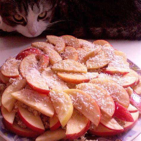 Диета на сыроед Я влюбилась в этот сыроедческий пирог в этот раз с кокосовой стружкой Я влюбилась в этот сыроедческий пирог в этот раз с кокосовой стружкой Диета на сыроед