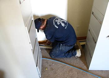 Phoenix az exterminator, pest control & termite inspector. 3 Best Pest Control Companies in Phoenix, AZ - Expert ...