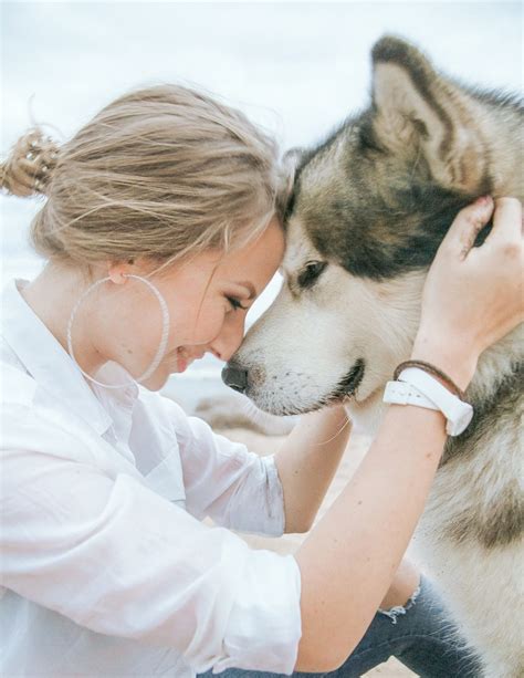 Partner beendet plötzlich beziehung mittwoch, 7. Warum mentales Training? - Erfüllte Mensch-Hund ...