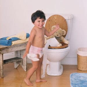 May Show An Interest In Being Potty Trained (16-25 Months ...