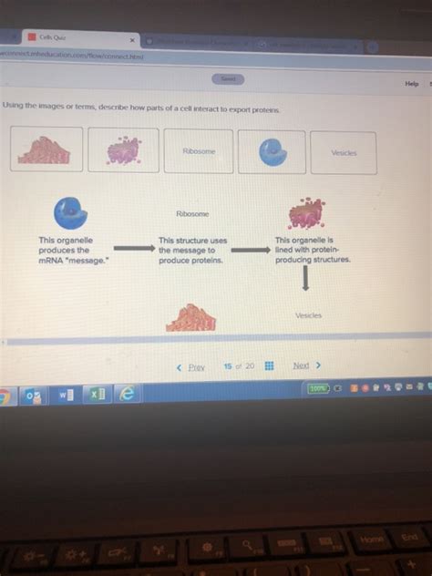 Explain why you found it so valuable in a sentence or two. Solved: Cells Quiz Help Using The Images Or Terms, Descr ...