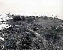 Lo tsunami del 1960 percorre l'intero oceano pacifico, dal cile al giappone. 1946:Tsunami Images | Pacific Tsunami Museum