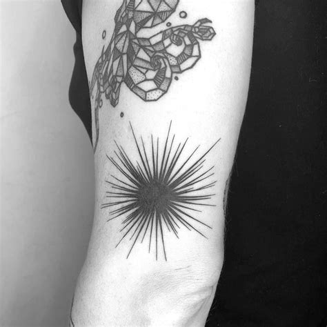 They are the main species in the class echinoidea. Pin auf Tattoos