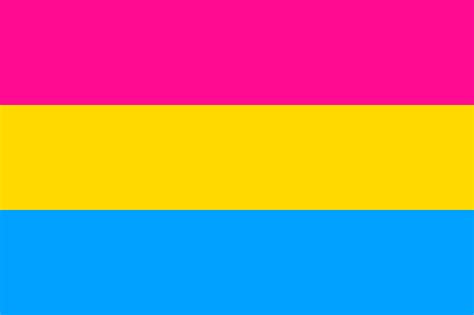 Looking for the definition of pansexual? Pansexual / Full Size Flags - various - Q PLUS / Available ...