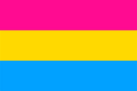 Meaning of pansexual in english. Pansexual / Full Size Flags - various - Q PLUS / Available ...