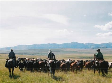We did not find results for: Sierra West Cabins & Ranch Vacations - UPDATED 2017 ...