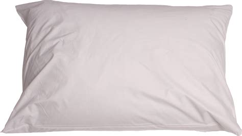 No longer imagine a comfortable sleep without a comfortable pillow. Pillow PNG Image - PurePNG | Free transparent CC0 PNG ...