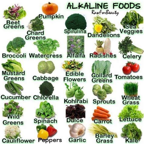 But more alkaline foods like leafy greens, sprouts, avocados, and other powerhouse plant foods provide our bodies with essential vitamins, minerals, and phytochemicals. Complete List of 92 Alkaline Foods That Fight Off Cancer ...